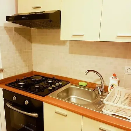Apartment Renic *
