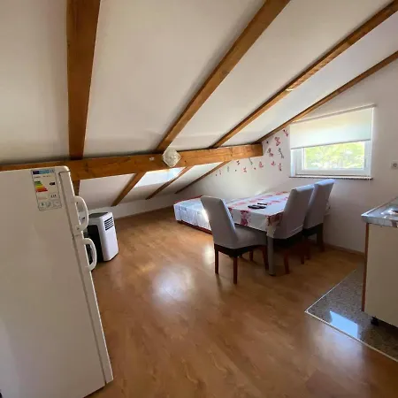 Apartment Renic